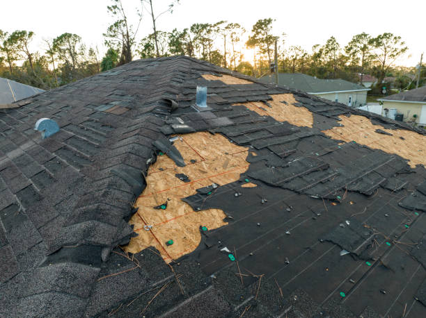 Best Green or Eco-Friendly Roofing Solutions  in Shady Hollow, TX